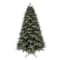 9ft. Pre-Lit Blue Mountain Spruce Realistic Artificial Christmas Tree, Colour Changing Micro LED Lights by Ashland®